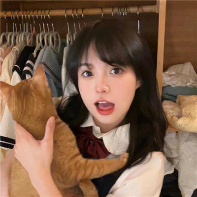 菜鸟囧探